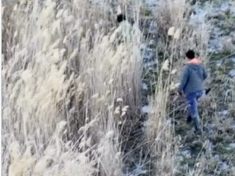 Burdur’da Yasa Dışı Avcılığa Sıkı Denetim: İki Kişiye Para Cezası Uygulandı